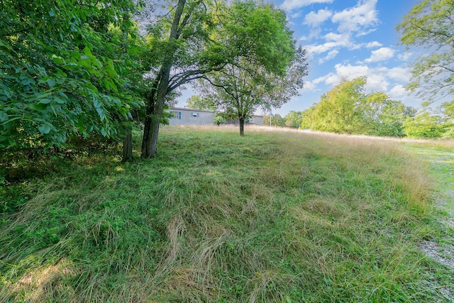1165 Turner Rd, Williamstown, KY 41097 - photo 20