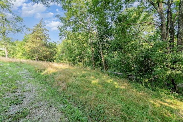 1165 Turner Rd, Williamstown, KY 41097 - photo 21