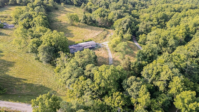 1165 Turner Rd, Williamstown, KY 41097 - photo 5