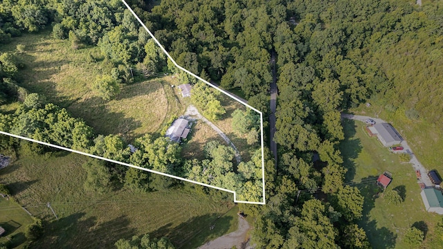 1165 Turner Rd, Williamstown, KY 41097 - photo 2