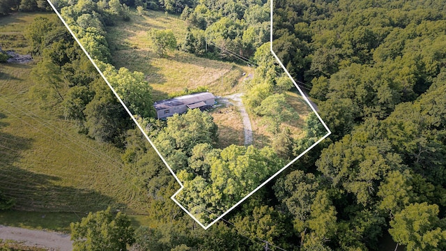 1165 Turner Rd, Williamstown, KY 41097 - photo 3