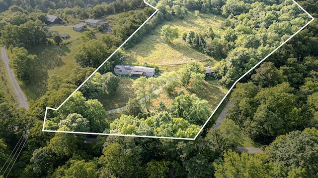 1165 Turner Rd, Williamstown, KY 41097 - photo 4