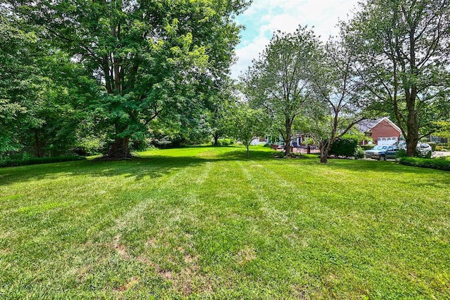 1034 Colina Dr, Villa Hills, KY 41017 - photo 44