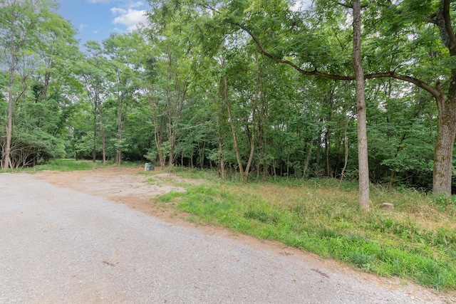 1480 Rising Rdg Dr, Independence, KY 41051 - photo 3
