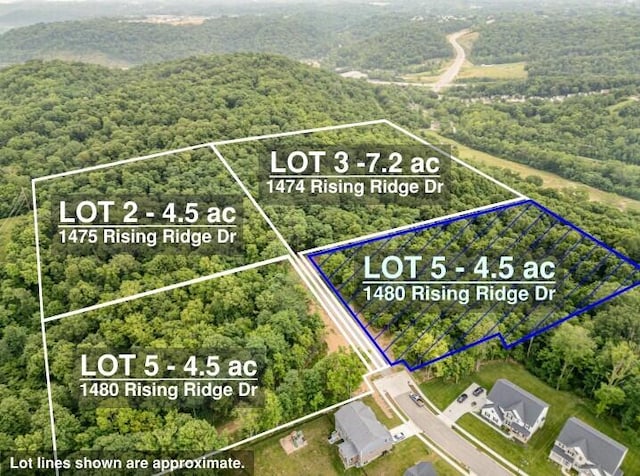 1480 Rising Rdg Dr, Independence, KY 41051 - photo 1