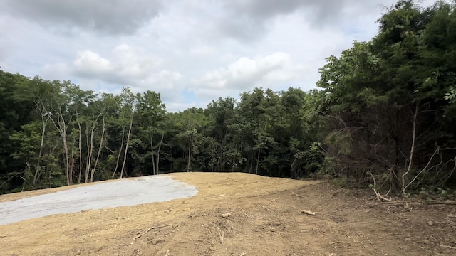 8355 Dixie Hwy, Williamstown, KY 41097 - photo 2