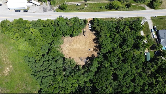 8355 Dixie Hwy, Williamstown, KY 41097 - photo 5