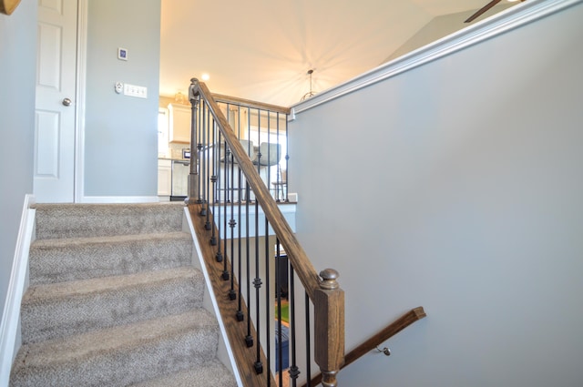 226 Veneto Dr, Walton, KY 41094 - photo 7