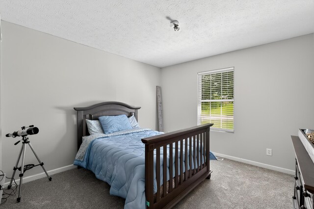 210 Crittenden Ct, Crittenden, KY 41030 - photo 12