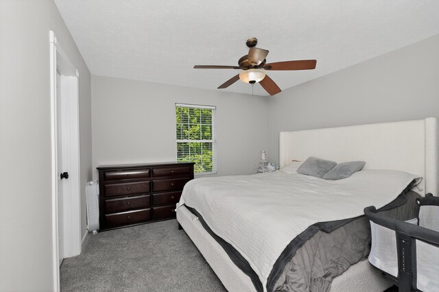 210 Crittenden Ct, Crittenden, KY 41030 - photo 13