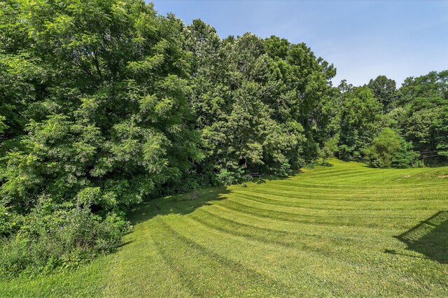210 Crittenden Ct, Crittenden, KY 41030 - photo 22