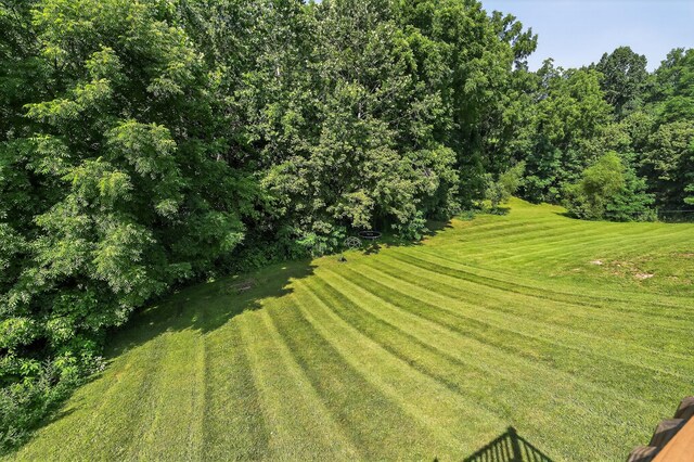 210 Crittenden Ct, Crittenden, KY 41030 - photo 21