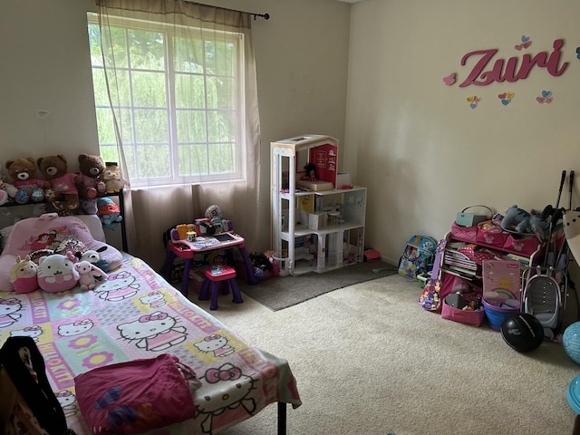 4008 Woodchase Dr, Erlanger, KY 41018 - photo 11