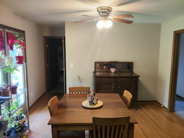 311 Garfield Ave, Melbourne, KY 41059 - photo 6