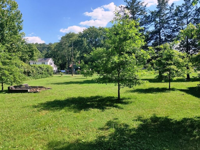 311 Garfield Ave, Melbourne, KY 41059 - photo 12