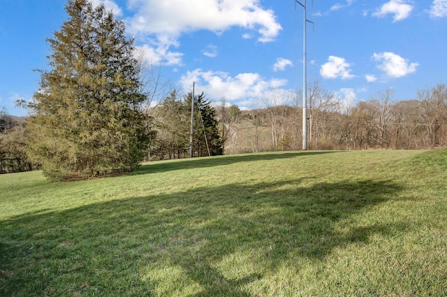 615 Concord Rd, Verona, KY 41092 - photo 38