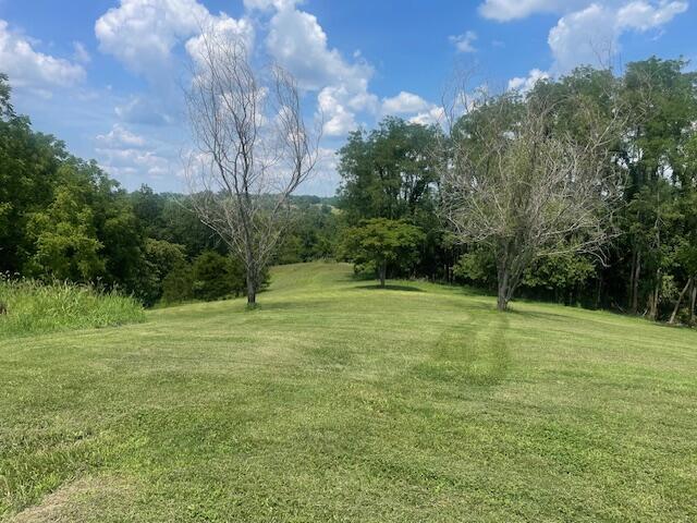 1512 Turner Ridge Rd, Falmouth, KY 41040 - photo 11