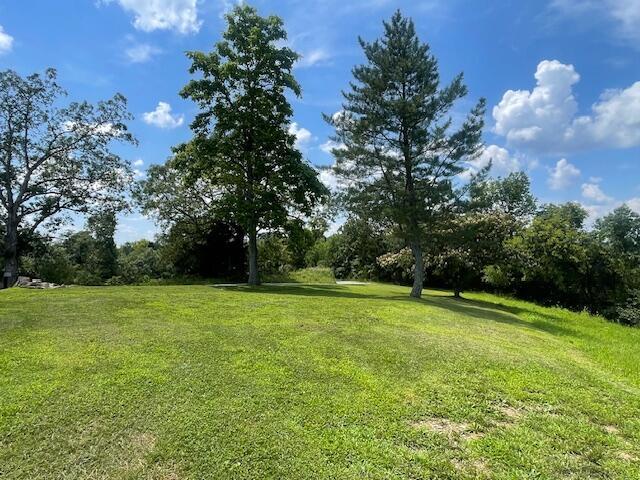 1512 Turner Ridge Rd, Falmouth, KY 41040 - photo 16