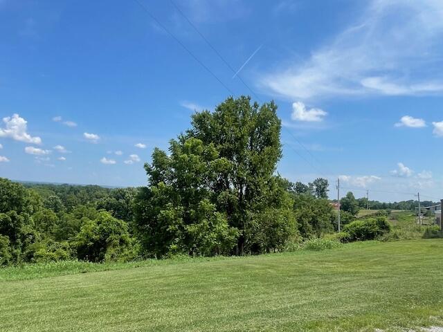 1512 Turner Ridge Rd, Falmouth, KY 41040 - photo 20