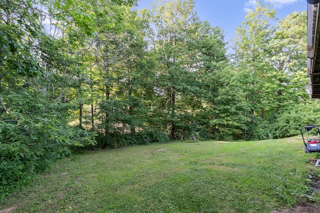 1110 Mount Zion Rd, Union, KY 41091 - photo 21