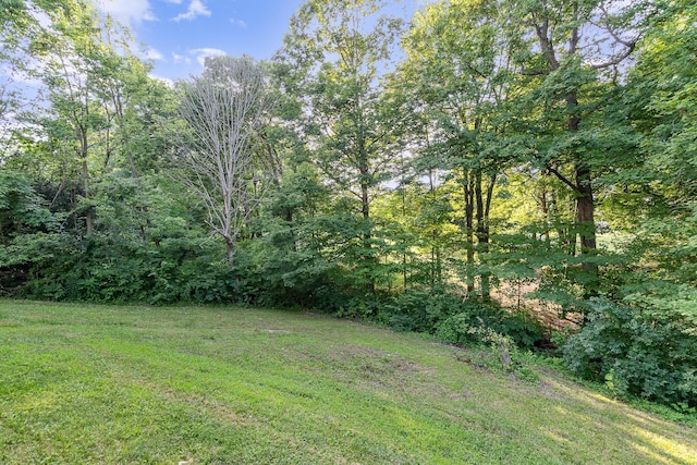 1110 Mount Zion Rd, Union, KY 41091 - photo 22