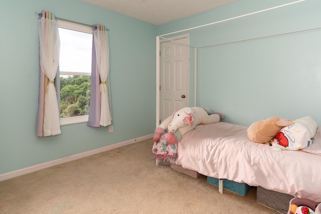 655 Roberts Ln, Glencoe, KY 41046 - photo 22