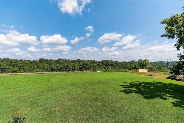 1453 Hickory Grove Rd, Foster, KY 41043 - photo 5