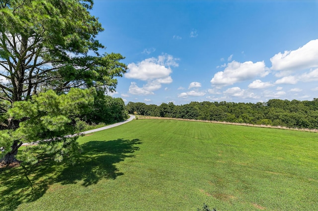 1453 Hickory Grove Rd, Foster, KY 41043 - photo 6