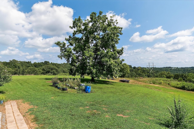 1453 Hickory Grove Rd, Foster, KY 41043 - photo 17