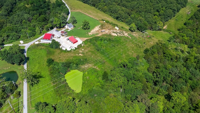 1453 Hickory Grove Rd, Foster, KY 41043 - photo 22