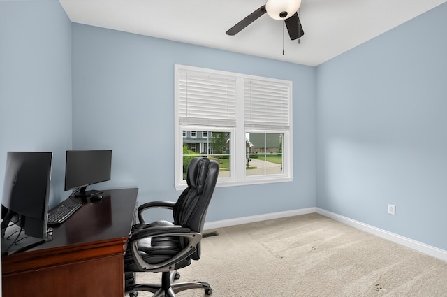 7920 Arcadia Blvd, Alexandria, KY 41001 - photo 6