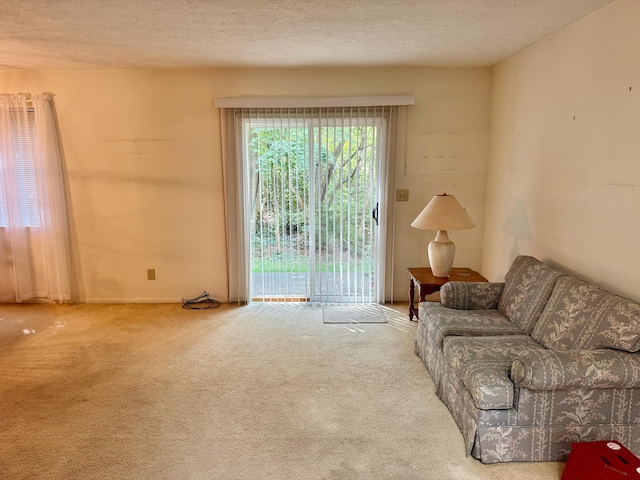 36 Spring Pl, Highland Heights, KY 41076 - photo 8