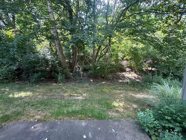 36 Spring Pl, Highland Heights, KY 41076 - photo 29