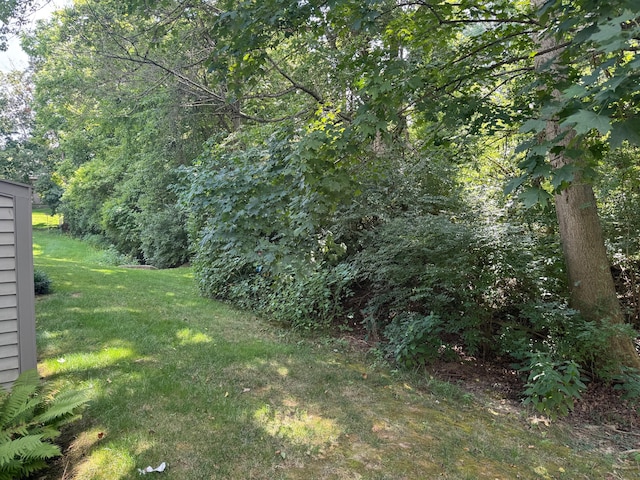 36 Spring Pl, Highland Heights, KY 41076 - photo 31