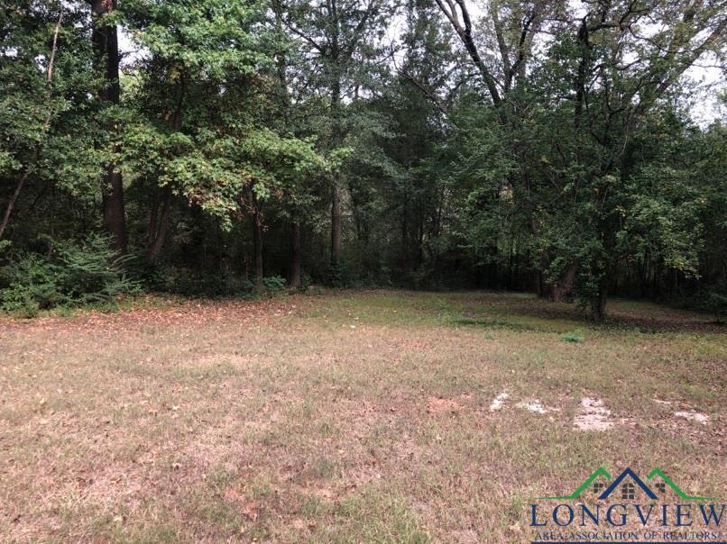 1417 Gay St, Longview, TX 75602 - photo 2