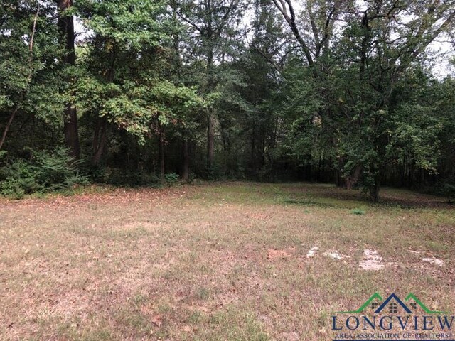 1417 Gay St, Longview, TX 75602 - photo 2