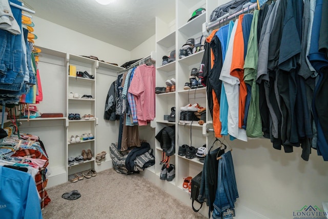 spacious closet with light colored carpet