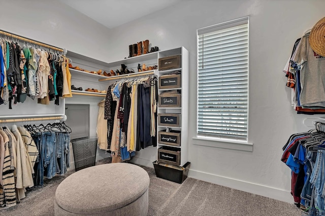 walk in closet featuring carpet floors