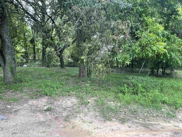 423 S Mobberly, Longview, TX 75602 - view of undeveloped land