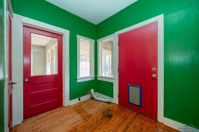 foyer entrance with wood-type flooring