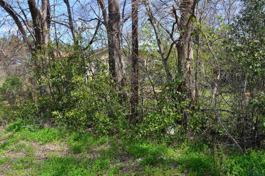 1390 Shady Grove Rd, Jefferson, TX 75657