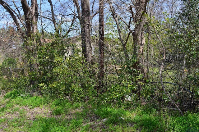1390 Shady Grove Rd, Jefferson, TX 75657