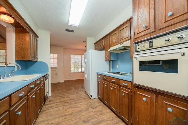 kitchen featuring a textured ceiling, sink, white appliances, and light hardwood / wood-style flooring