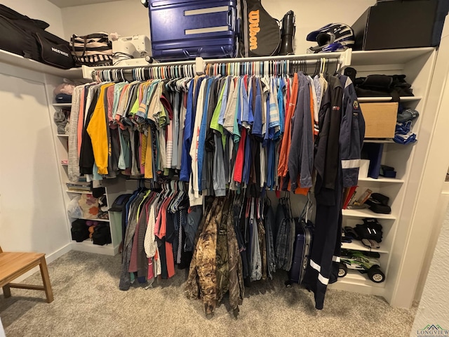 spacious closet featuring carpet floors