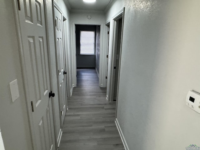 hallway featuring hardwood / wood-style floors and ornamental molding