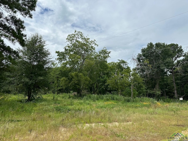 TBD Shiloh Rd Unit 1, White Oak TX, 75604 land for sale