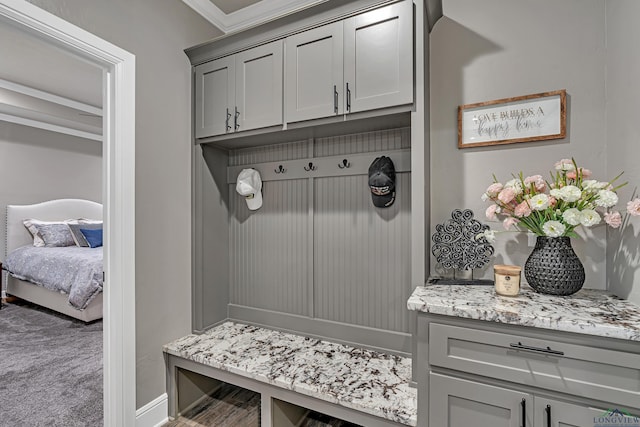 mudroom featuring crown molding and carpet flooring