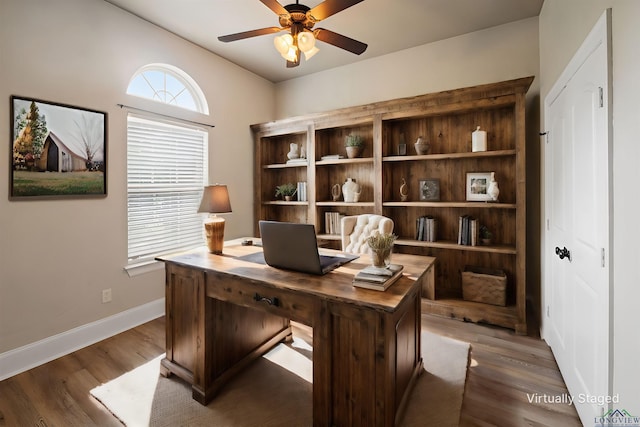 office featuring ceiling fan and hardwood / wood-style flooring