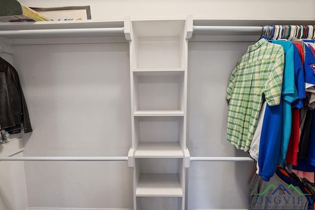 view of spacious closet