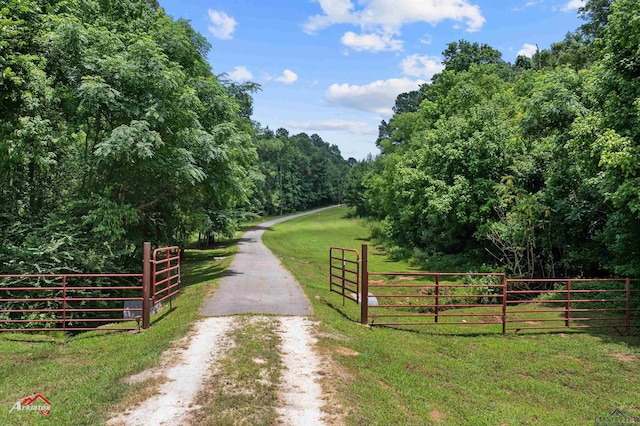 12493 S State Highway 87, Shelbyville, TX 75973 - view of road featuring a forest view and a gated entry